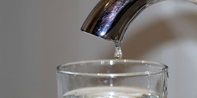 Die IP- Suisse nehme die Anliegen der Volksinitiativen für sauberes Trinkwasser und für eine Schweiz ohne synthetische Pestizide ernst, jedoch würden die beiden Initiativen weit über das Ziel hinausschiessen. (Symbolbild Pixabay)