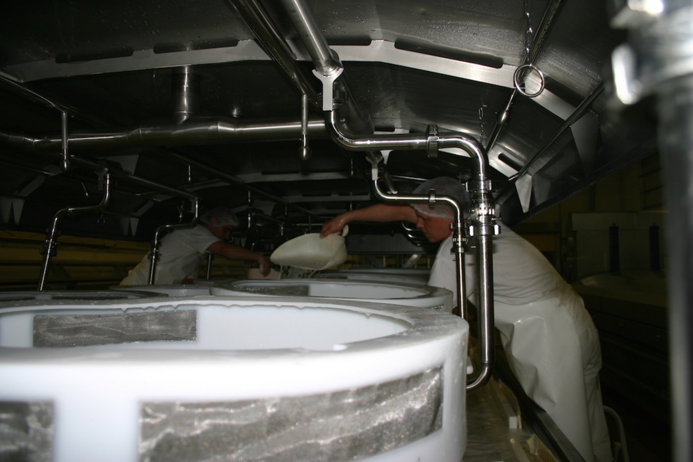 Die Milchgold Käse AG verarbeitet täglich bis zu 180‘000 Liter Milch zu Käse. (Bild zVg)