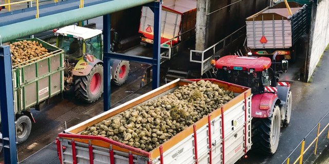 Die Verarbeitung läuft. (Bild BauZ)