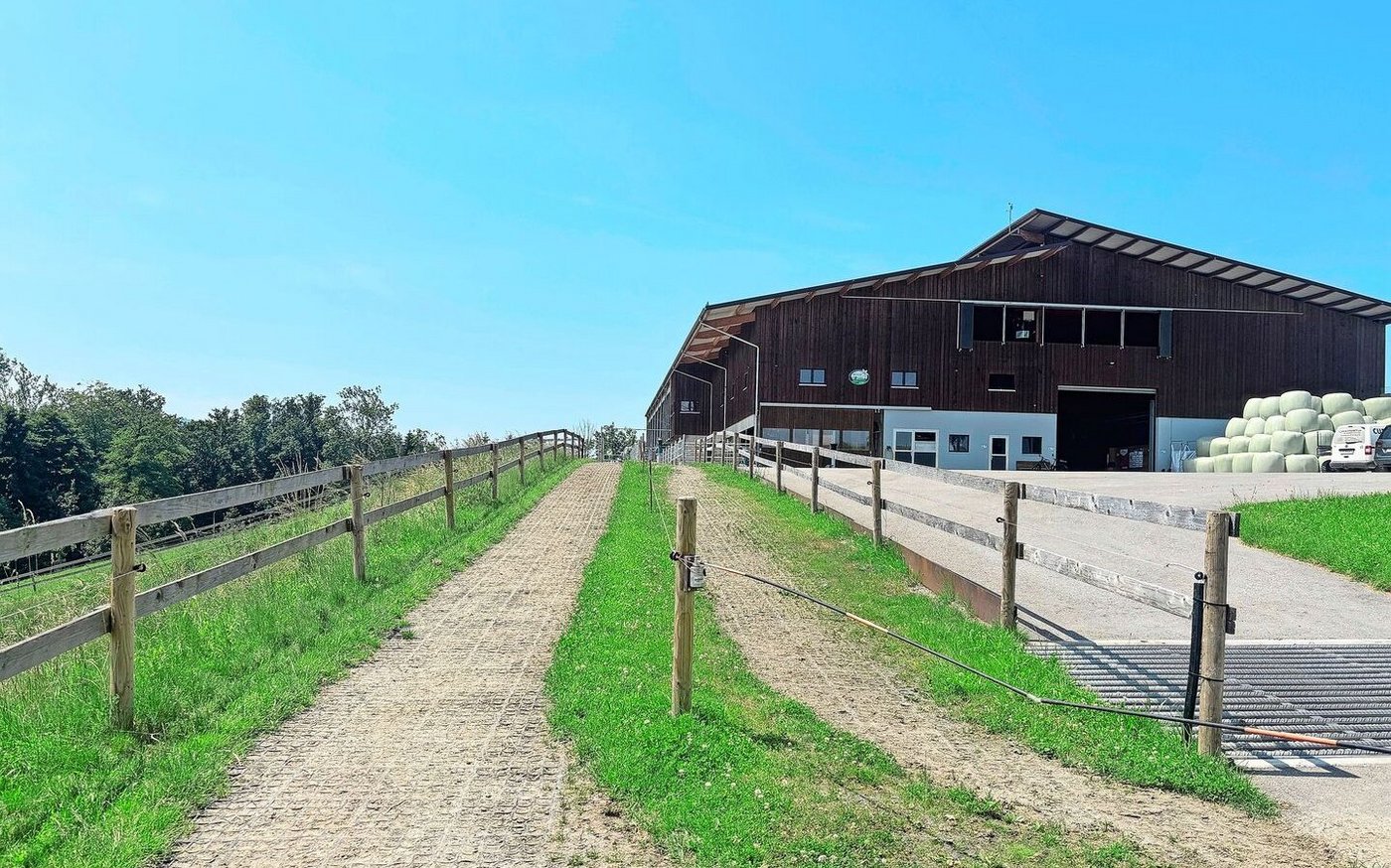 Vom Stall geht es für die Kühe über bei jedem Wetter zugängliche Auftriebswege auf die Weide.