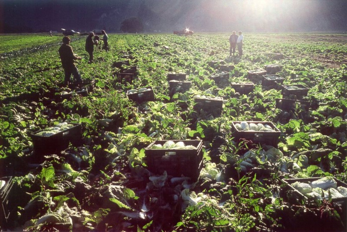 (Symbolbild Ariane Dufour)