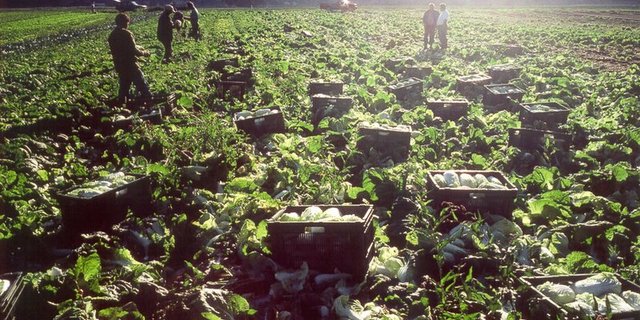 (Symbolbild Ariane Dufour)