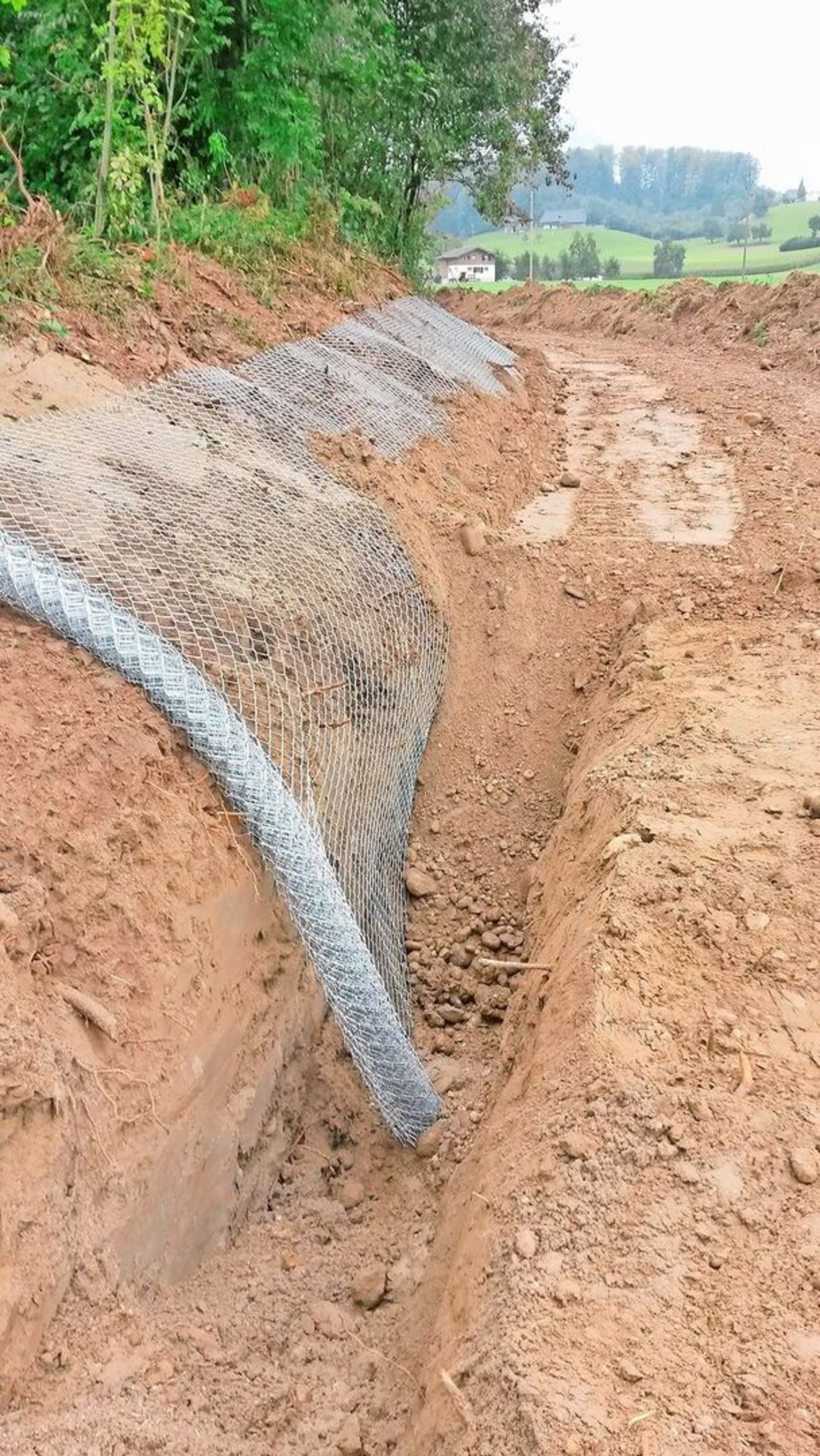 Mit solchem Drahtgeflecht werden Dämme gesichert: Sie dienen als Barrieren, damit der Biber keine Löcher hineingräbt.