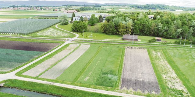 Am Inforama Seeland werden herkömmliche und reduzierte Bodenbearbeitung in Gemüsekulturen verglichen. Die Luftaufnahme der Versuchsparzellen entstand im Mai dieses Jahres. (Bild Camille Minguely)