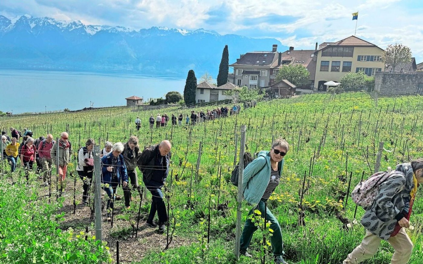 Die Jahresversammlung der Kleinbauern-Vereinigung fand dieses Jahr am Genfersee im Weinbaudorf Rivaz statt. 