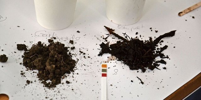 Gute Komposterde (rechts) darf Holzstückchen enthalten, sie sollten sich aber nach Ende der Reifezeit zwischen den Fingern zerreiben lassen. Indikatorpapier zeigt den pH-Wert, der zwischen  7,2 – 7,6 liegen sollte.