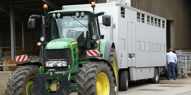 Der Deutsche Tierschutzbund kritisiert die schlechten Bedingungen bei Tiertransporten. (Bild lid)