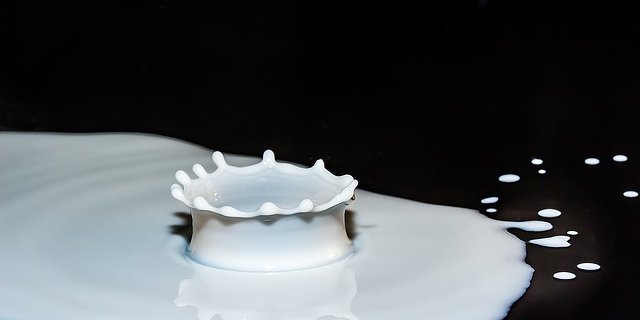 Obwohl die Milchmenge sinkt, steigt der Preis nicht. (Bild pixabay)