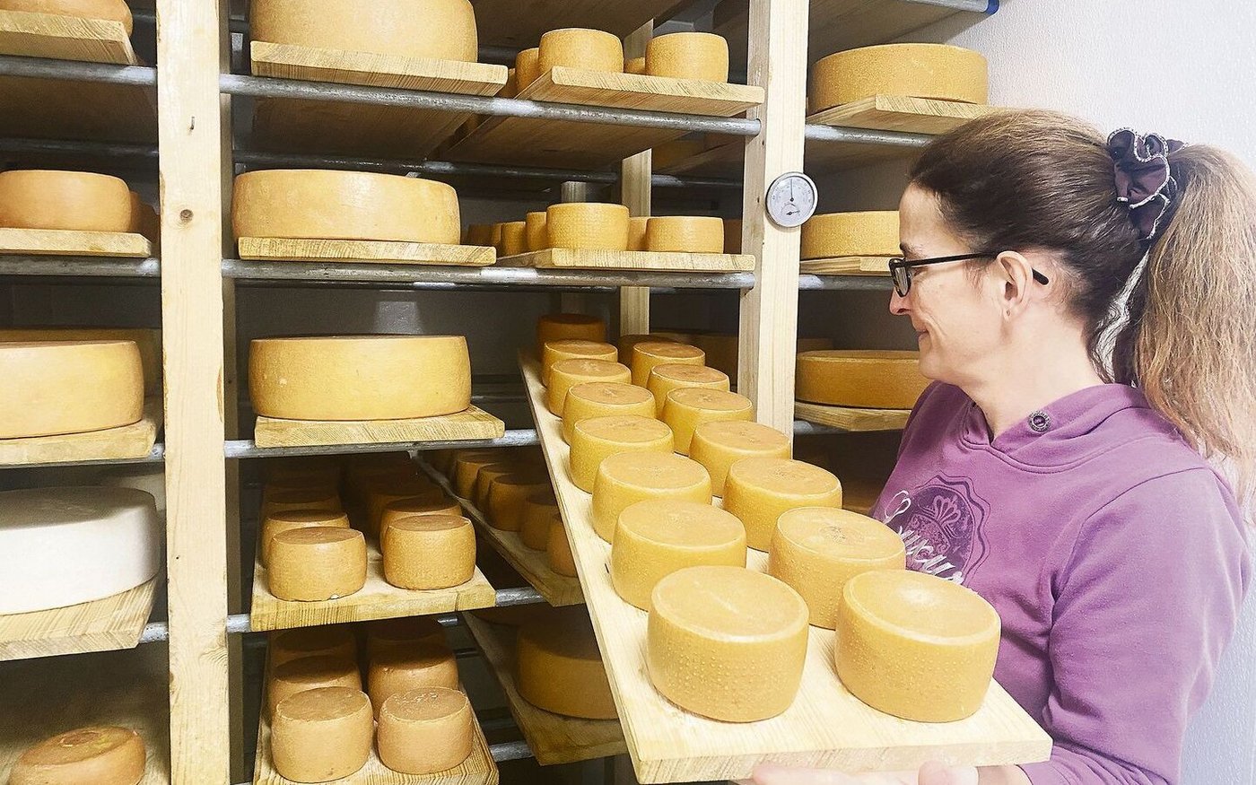 In der neugebauten Käserei stellt Emanuela Schneeberger Halbharten, Mutschli und Frischkäse her.