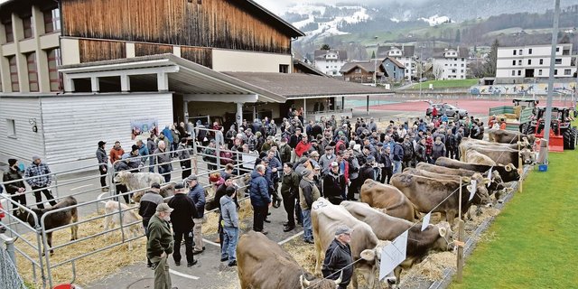 Die Auktion Kerns fand erstmals am neuen Standort auf dem Areal der Dossenhalle statt. Unter der grossen Zahl an Besuchern waren aber eher wenig Käufer auszumachen.