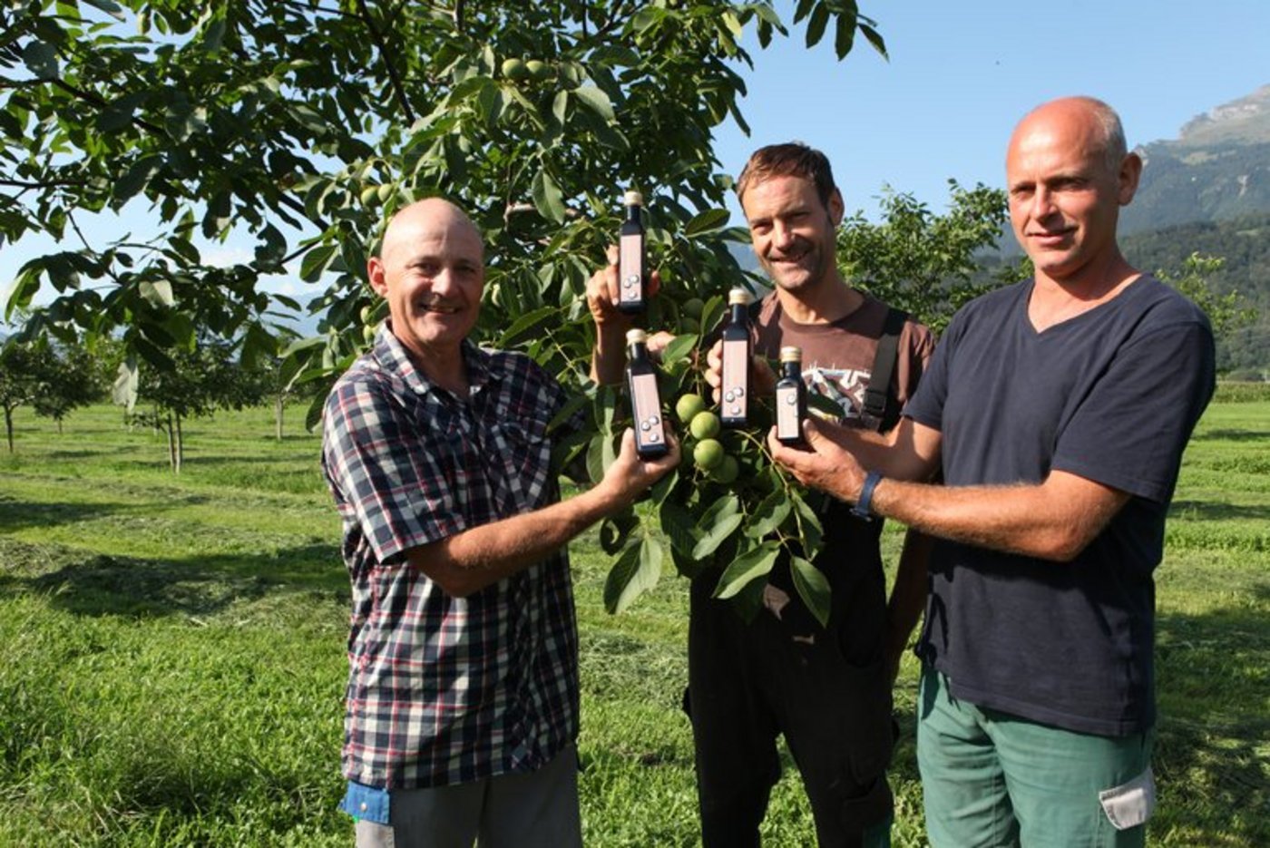 Fünf Bauern im St. Galler Rheintal haben die Nussgesellschaft Wartau gegründet und eine professionelle Walnuss-Produktion etabliert. (Bilder Emmental Versicherung)