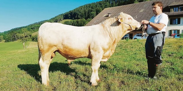 Das Highlight in Langenbruck sind heuer Ueli Bader und sein handzahmer sowie genetisch hornloser Stier Rondo.  (Bild zVg)