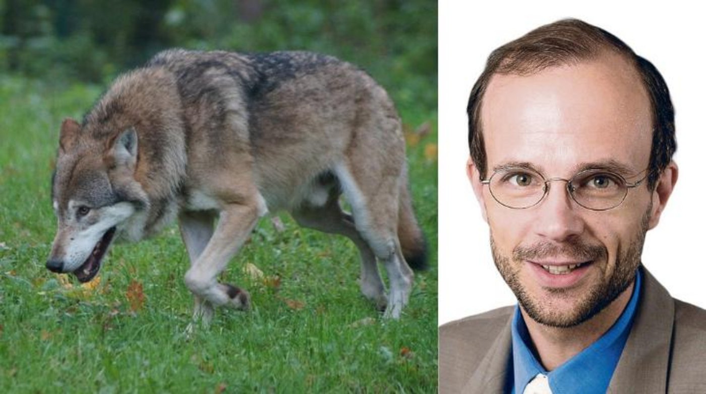 Roland Norrer ist  Professor für öffentliches Recht und Recht des ländlichen Raums an der Universität Luzern. (Bilder Pixabay / Uni Luzern )