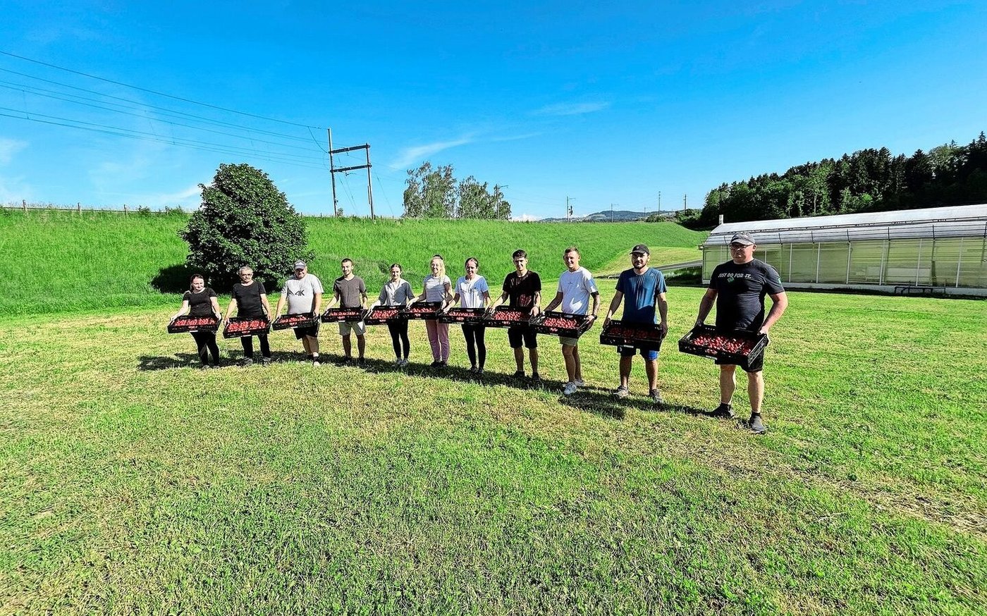 Die zwölf Erntehelfer(innen) stammen aus Polen und Rumänien. Die Zahl der Erntehelfer(innen) wird in der Hochsaison auf 35 Personen anwachsen. Neben den Erdbeeren müssen dann auch die Strauchbeeren geerntet werden.