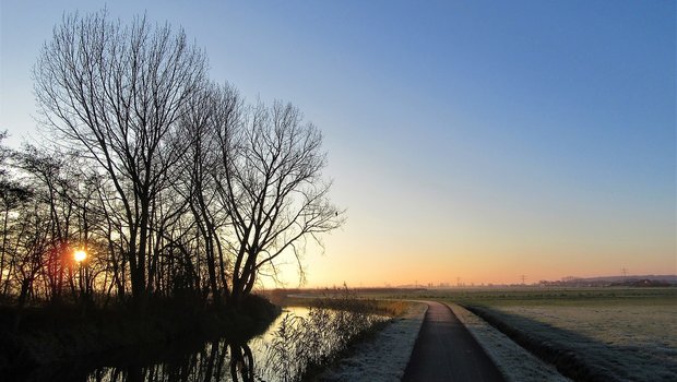 Die Debatte über die Pflanzenschutz-Initiativen hätte die Möglichkeit geboten, über das gewünschte Ernährungssystem der Zukunft zu diskutieren. Stattdessen werde ein sinnloser Krieg geführt, bedauert Uniterre. (Bild FotoRieth / Pixabay) 