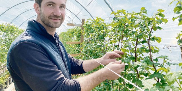 Moritz Fiechter kann wegen des Raumplanungsgesetzes nur einen kleinen Teil seiner Beeren im Tunnel produzieren. Ein gänzlicher Verzicht auf Pflanzenschutzmittel ist deshalb nicht möglich. (Bilder Katrin Erfurt)