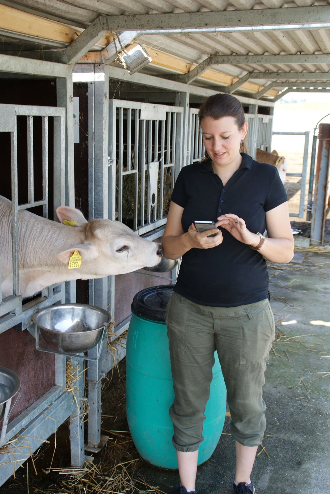 Anna Felber empfängt den Abkalbe-Alarm über das Handy. (Michael Götz)