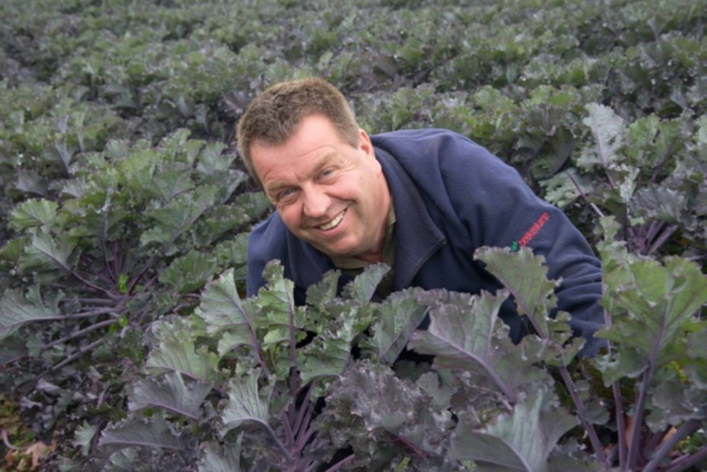 Lorenz Gutknecht aus Ins BE baut zusammen mit einem Partner exklusiv Flower Sprout an. Die Lizenz für die Gemüsesorte läuft auf seinen Namen. (Bild David Eppenberger)