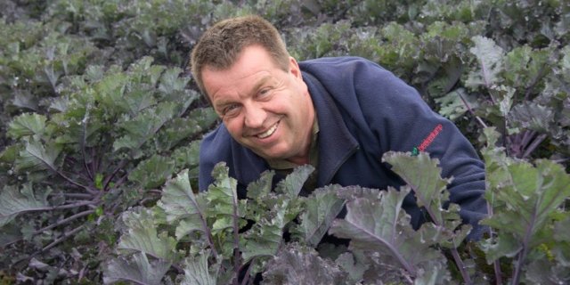 Lorenz Gutknecht aus Ins BE baut zusammen mit einem Partner exklusiv Flower Sprout an. Die Lizenz für die Gemüsesorte läuft auf seinen Namen. (Bild David Eppenberger)