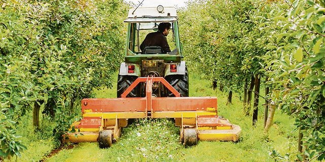 Zur Pflege wird ein Blühstreifenmulcher eingesetzt, der die Streifen auf eine Breite von mind. 40 cm, besser 60 cm mulcht. (Bild zVg)