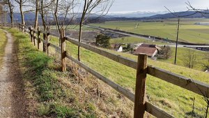 Holzzäune sind eine Holzzäune sind eine beliebte Massnahme für die Landschaftsqualitätsbeiträge. Ob diese Massnahme nach dem Zusammengehen von Landschaftsqualität und Vernetzung noch Bestand haben wird, wird sich weisen.