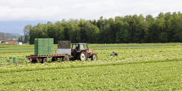 Mit dem offenen Brief wollen die Unterzeichnenden auch die Fenaco-Genossenschafter über ihre Empörung informieren. (Bild ji / lid) 