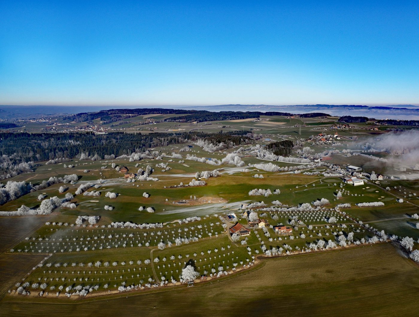 Eine Hochstammlandschaft bei Hildisrieden im frostigen Winterkleid. (Bild zVg)