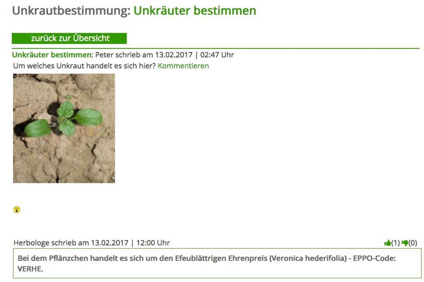 Landwirte können Bilder von Unkräutern hochladen und bekommen Hilfe beim Bestimmen. (Bild Screenshot weedscout.com)