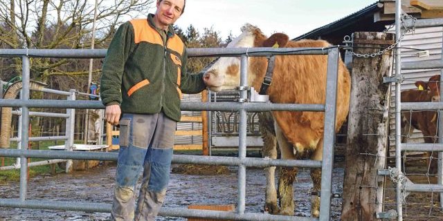 Urs Gygax aus Schüpberg BE möchte neben der Milchwirtschaft auf die Pouletmast setzen. Auf seinem Grundstück plant er, zusammen mit der   Familie Schlup eine Halle mit max. 18'000 Poulets. (Bild Peter Fankhauser)