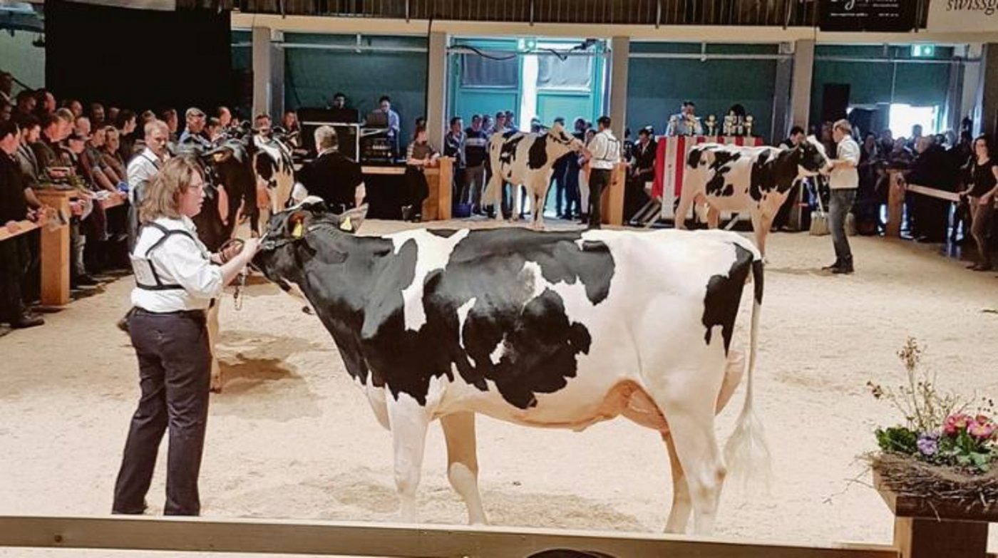 Mit Princess hat Therese Wyss-Brunner 2018 an der Junior Expo im Aargau und in Thun BE teilgenommen. (Bild zVg Therese Wyss-Brunner)