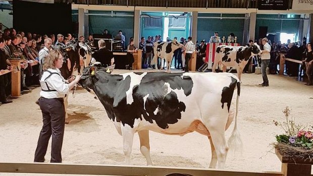 Mit Princess hat Therese Wyss-Brunner 2018 an der Junior Expo im Aargau und in Thun BE teilgenommen. (Bild zVg Therese Wyss-Brunner)