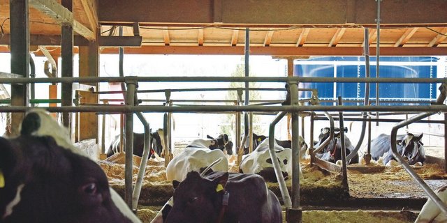 «Bei den Abmessungen für Aufstallungssysteme nie auf die Mindestmasse setzen.» Das rät Ökonomieplaner Simon Fankhauser.