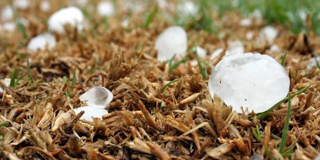 In der Vergangenheit ist Hagel das Hauptrisiko der Landwirte gewesen. (Bild Pixabay)
