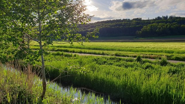 Die Risiken für Oberflächengewässer sollen gemäss Parlamentarischer Initiative deutlich sinken. (Bild lid/ji)