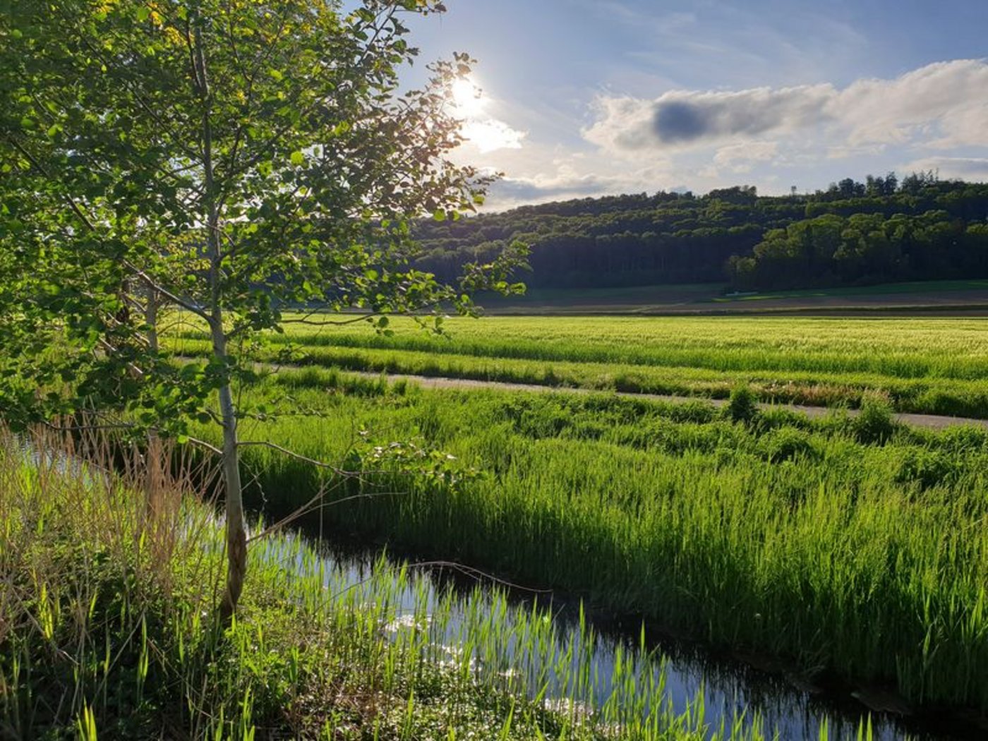 Die Risiken für Oberflächengewässer sollen gemäss Parlamentarischer Initiative deutlich sinken. (Bild lid/ji)
