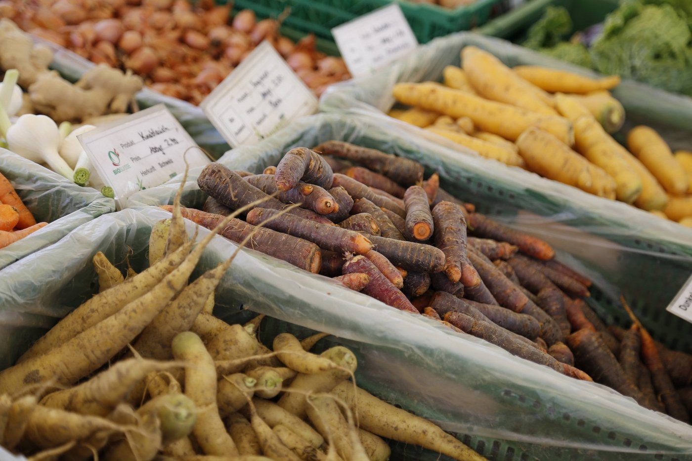 Rüebli gibt es nicht nur in der orangefarbigen Standardversion. (Bild fi)