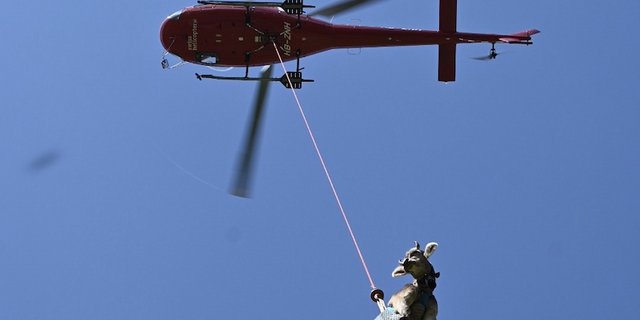Völlig losgelöst von der Erde: Guschti Raika hebt ab zu ihrem ersten Helikopterflug. (Bild Jasmine Baumann)
