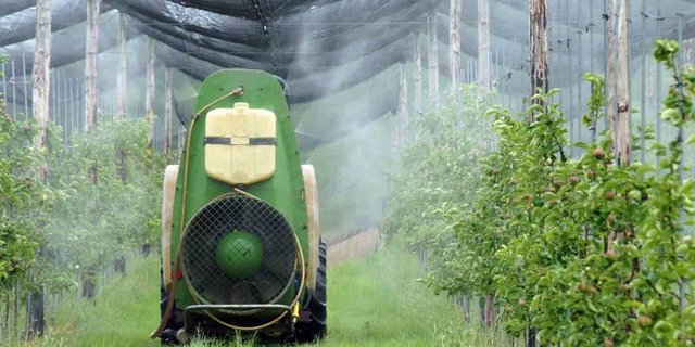 Der Bundesrat empfiehlt Ablehnung der Initiative «Für eine Schweiz ohne synthetische Pestizide». (Bild Christa Felder)