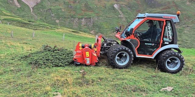 Mit einem Metrac-Mulcher wurden mosaikartig Fahrgassen in die dicht geschlossene Zwergstrauchheide gefräst.