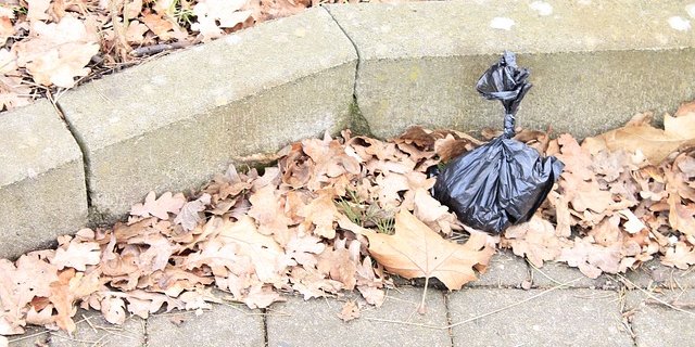 DerInhalt wäre wohl besser abbaubar als die Verpackung. Aber auch "abbaubarer" Bioplastik erwies sich als ziemlich zerfallsresistent. (Bild Pixabay)