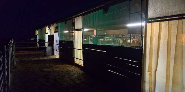 Ein Landwirtschaftsbetrieb braucht deutlich mehr Strom als ein durchschnittlicher Haushalt. Im Gegensatz zu einem leeren Zimmer kann man im Stall aber nicht ohne Weiteres das Licht löschen.