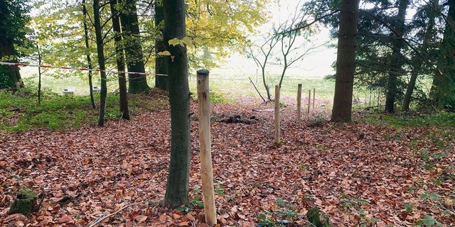 Die beiden Gehege für wenige Schweine umfassen nicht nur LN, sondern auch Wald. Aktuell wird vorbereitet und doppelt eingezäunt.