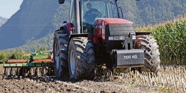 Auch nächstes Jahr wird der Maisanbau wegen Funden des Maiswurzelbohrers in vielen Gebieten der Schweiz eingeschränkt. In einigen Kantonen gilt das Anbauverbot von Mais nach Mais über das ganze Kantonsgebiet.