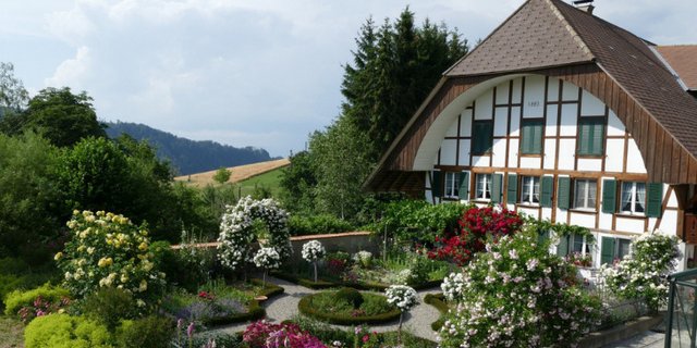 Der Bauerngarten von Sandra Flückiger im bernischen Utzigen gehört zum Erhalternetzwerk von Pro Specie Rara. Hier wird Saatgut alter Sorten gewonnen und so deren Erhalt gesichert. (Bild offenergarten.ch) 