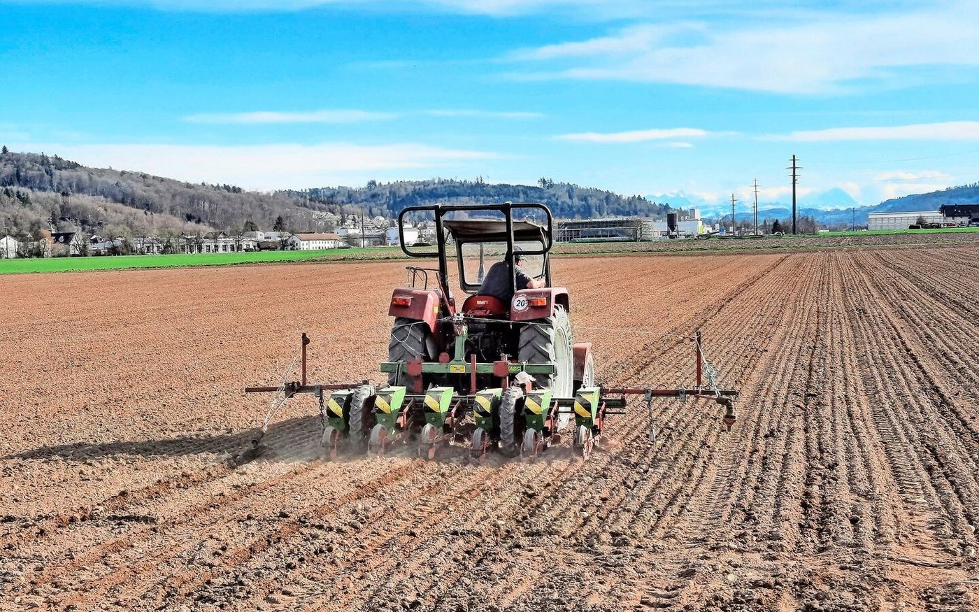 Das schöne und warme Wetter von letzter Woche wurde vielerorts genutzt, um die Zuckerrüben zu säen.