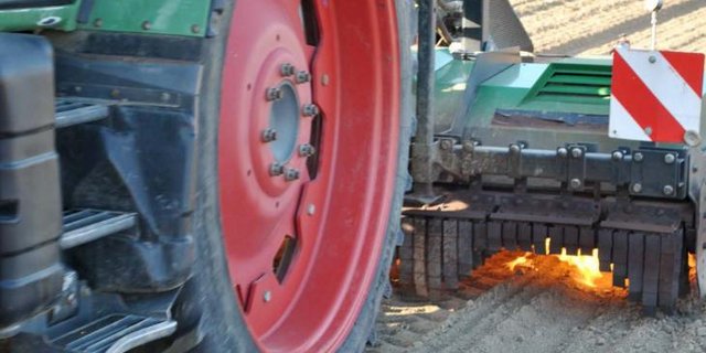 Das Abflammen ist ein physikalischer Prozess, bei dem die oberirdischen Pflanzenteile geschädigt werden. (Bild FiBL)