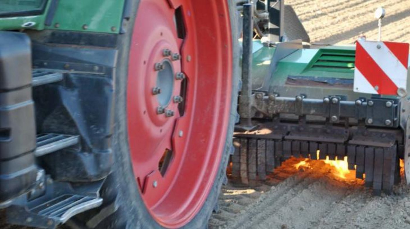 Das Abflammen ist ein physikalischer Prozess, bei dem die oberirdischen Pflanzenteile geschädigt werden. (Bild FiBL)