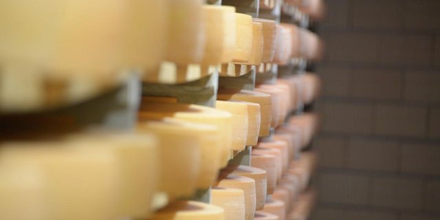 2020 kamen weltweit 31 600 Tonnen Gruyère AOP auf den Teller. (Bild BauernZeitung/Hansjürg Jäger)