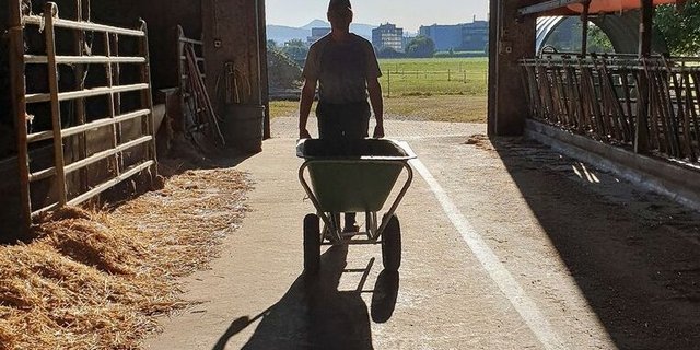 Wenn auf dem Betrieb jemand ausfällt, braucht es kompetente Hilfe.