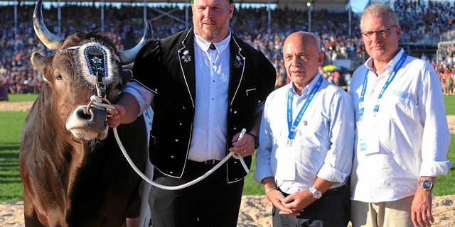 Schwinger Stucki ist traurig über den Tod von Siegermuni Kolin. (Bild Swiss Image)